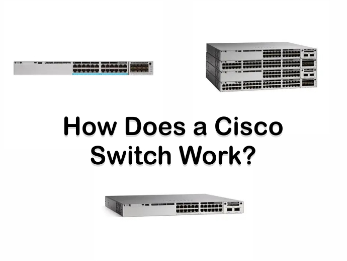 Cisco Switch Work