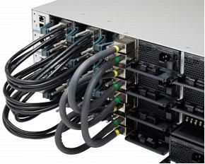 STACK-T1-50CM= StackWise cable detailed view